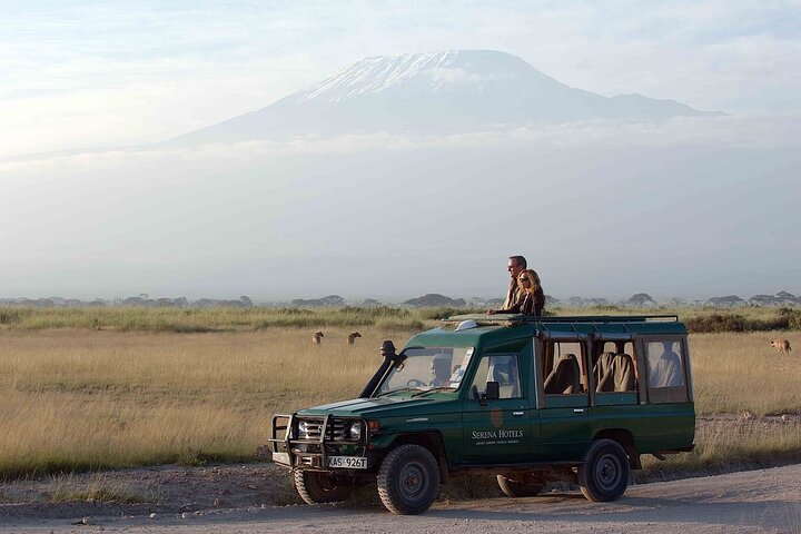 3 dagars Amboseli med flyg från Mombasa / Diani (minst 2 personer)