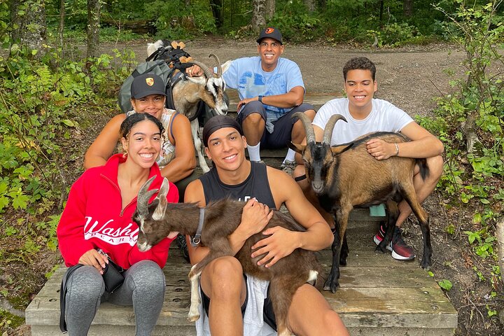 Senderismo con cabras, visita a Beaver Dam y picnic en el bosque de Quebec
