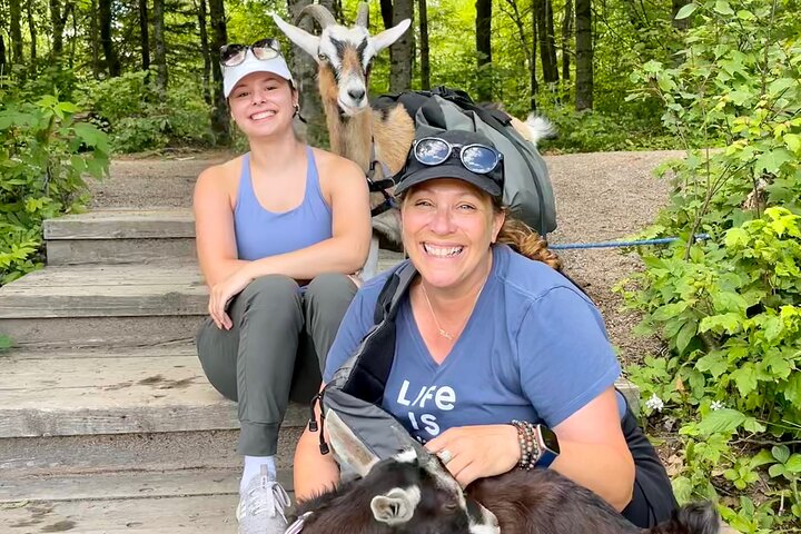 Senderismo con cabras, visita a Beaver Dam y picnic en el bosque de Quebec