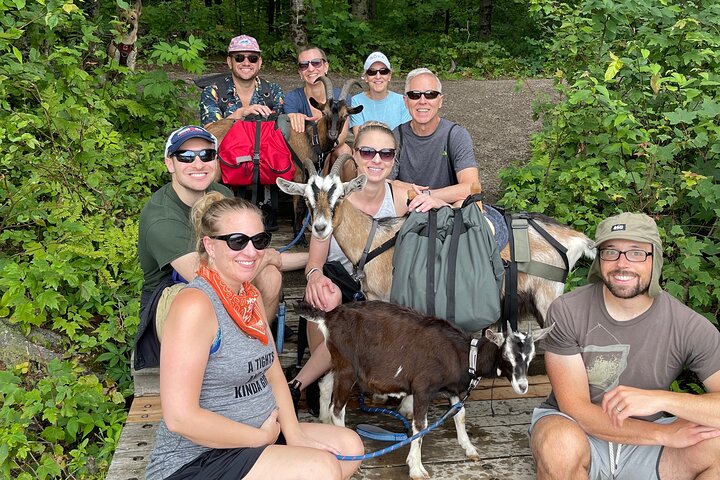 Senderismo con cabras, visita a Beaver Dam y picnic en el bosque de Quebec