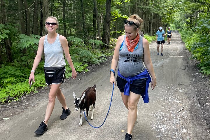 Senderismo con cabras, visita a Beaver Dam y picnic en el bosque de Quebec