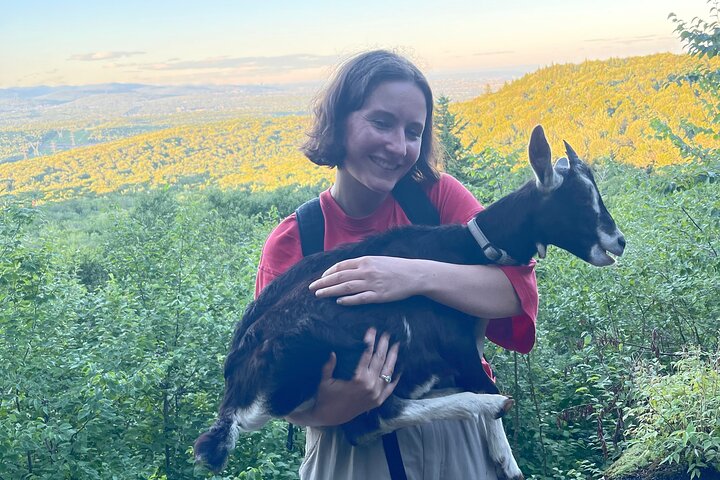 Senderismo con cabras, visita a Beaver Dam y picnic en el bosque de Quebec