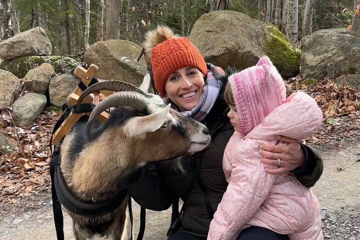 Senderismo con cabras, visita a Beaver Dam y picnic en el bosque de Quebec