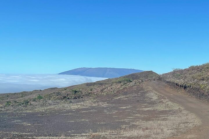 Galapagos Wandelexcursie naar Sierra Negra Vulkaan & Lavavelden