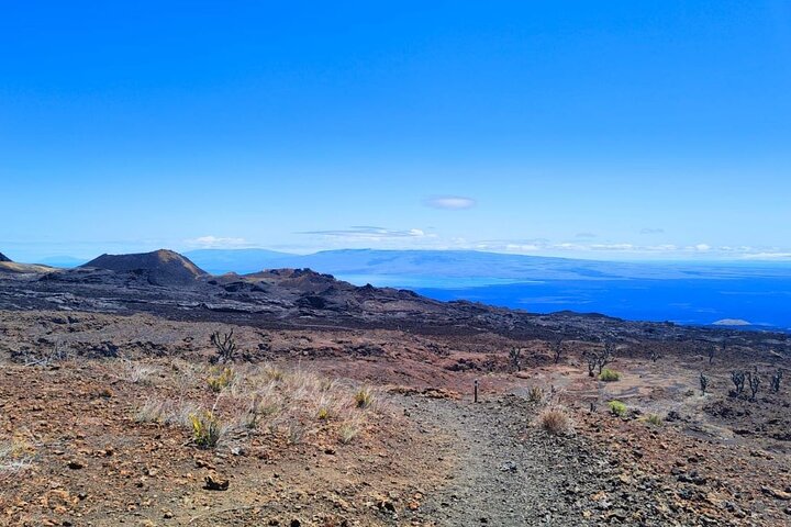Galapagos Wandelexcursie naar Sierra Negra Vulkaan & Lavavelden