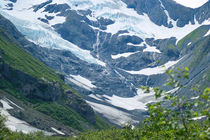 Tour avventuroso con vista sul ghiacciaio e fauna selvatica di Anchorage