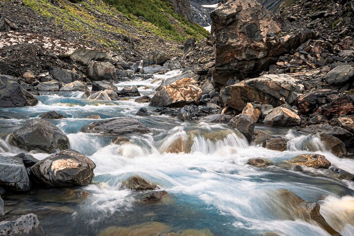 Tour avventuroso con vista sul ghiacciaio e fauna selvatica di Anchorage