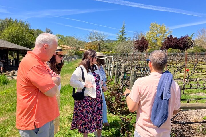 "Melhor Tour Privado de Vinhos de Napa ou Sonoma para até 8 Pessoas"