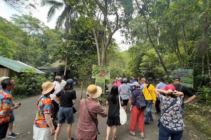 Bohol dagstur med rundturstransport fra Cebu