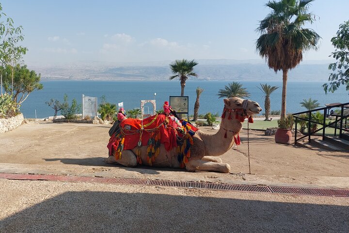 Le meilleur de la Terre sainte en 3 jours - Visite privée des points forts d'Israël