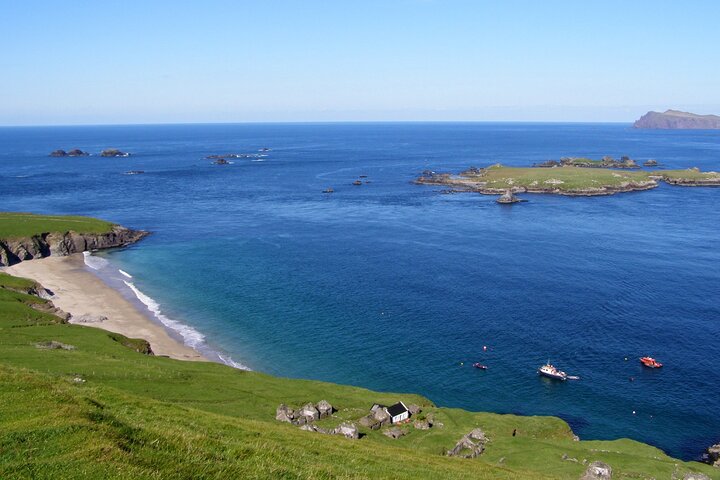 Observação de golfinhos e baleias (4 horas) + Desembarque na Ilha Blasket (3 horas)