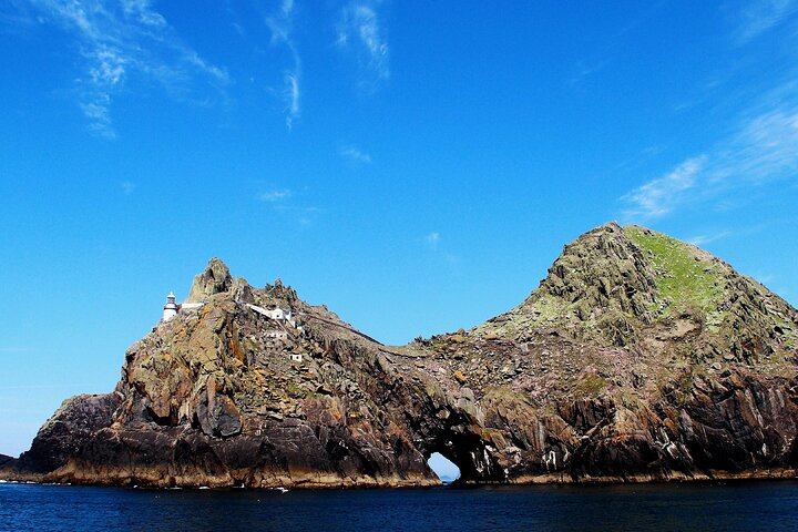 Observação de golfinhos e baleias (4 horas) + Desembarque na Ilha Blasket (3 horas)