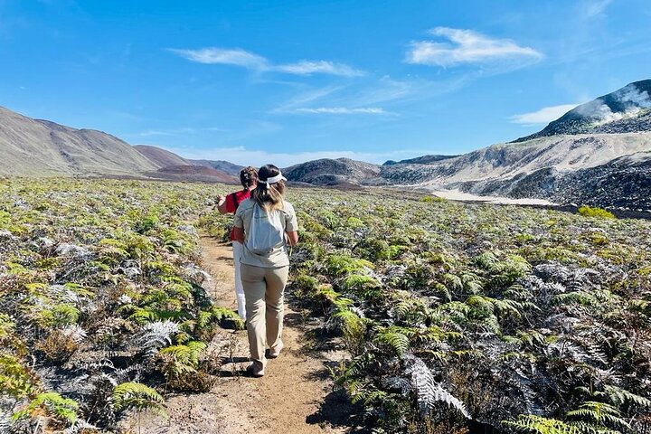 Tour privado de medio día en las fumarolas de azufre del volcán Sierra Negra