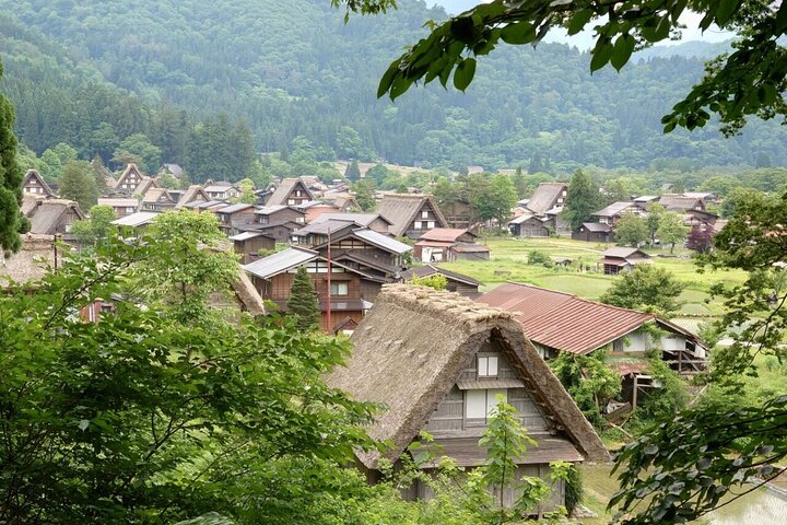 Excursão de 1 dia a Takayama: explore a paisagem de Takayama e Shirakawago