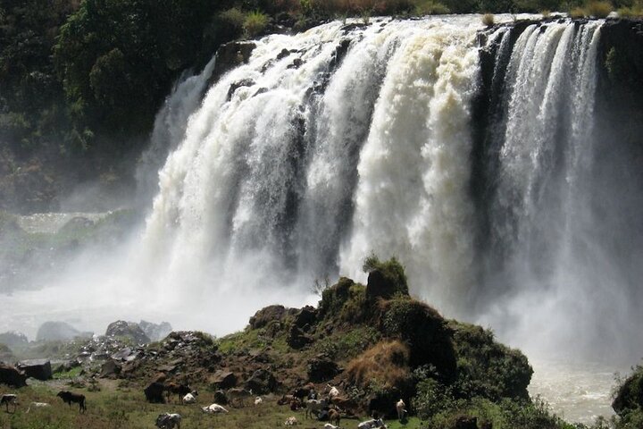 Dagstur Bahir Dar, Lake Tana og Blue Nile Falls Tours