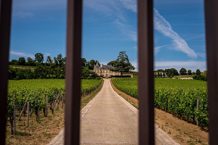 Saint-Émilion Wine Tour por bicicleta elétrica premium, almoço incluído