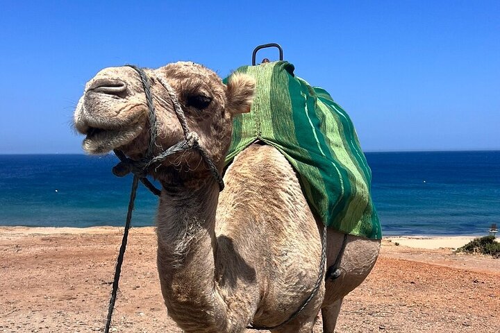 Marokko : Tanger privétour vanuit Malaga & Tarifa, all-inclusive