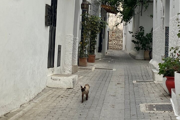 Marokko : Tanger privétour vanuit Malaga & Tarifa, all-inclusive