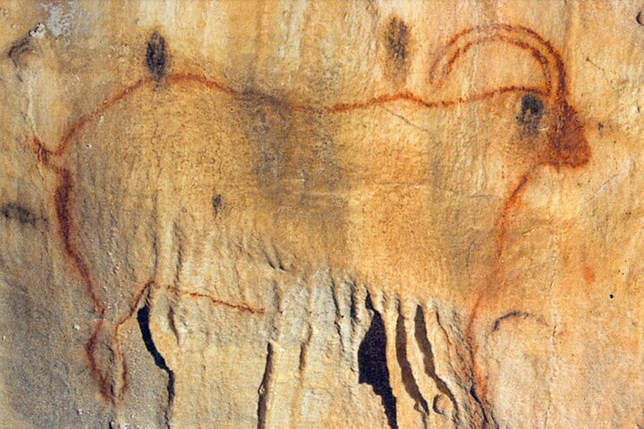 Sarlat : Privétour naar een prehistorische grot door Exploreo24