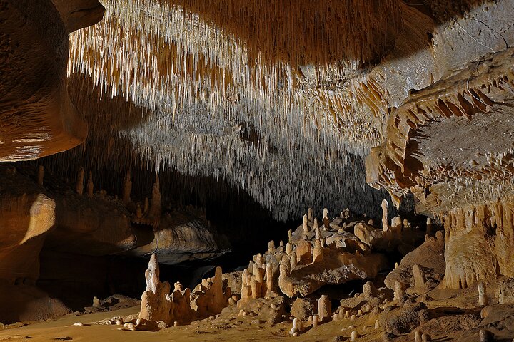 Sarlat : Privétour naar een prehistorische grot door Exploreo24