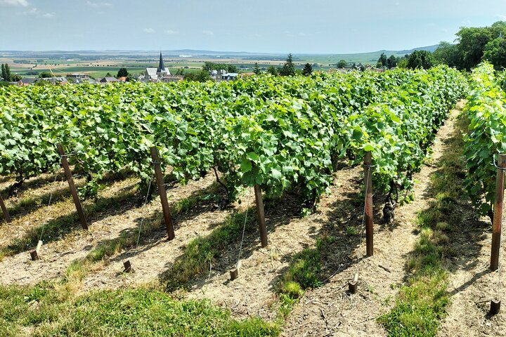 Tour privado de champán Veuve Clicquot, Moet y Chandon desde Reims
