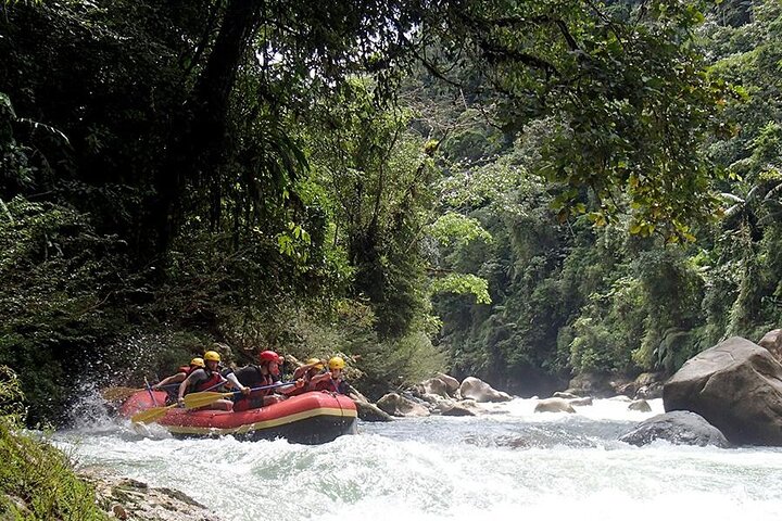 Rafting de día completo en Jondachi y Hollin Clase IV Tena, Ecuador