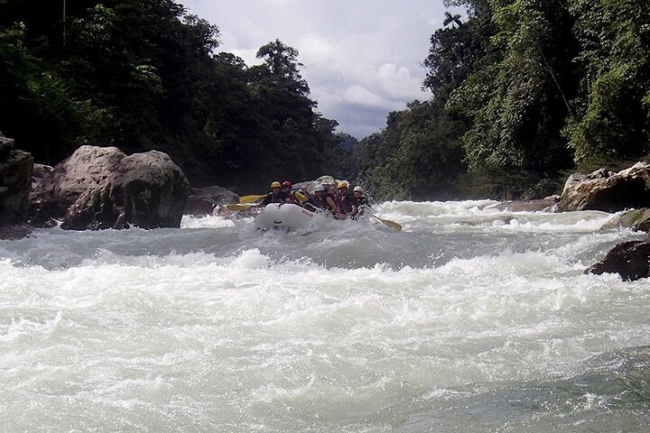 Rafting de día completo en Jondachi y Hollin Clase IV Tena, Ecuador