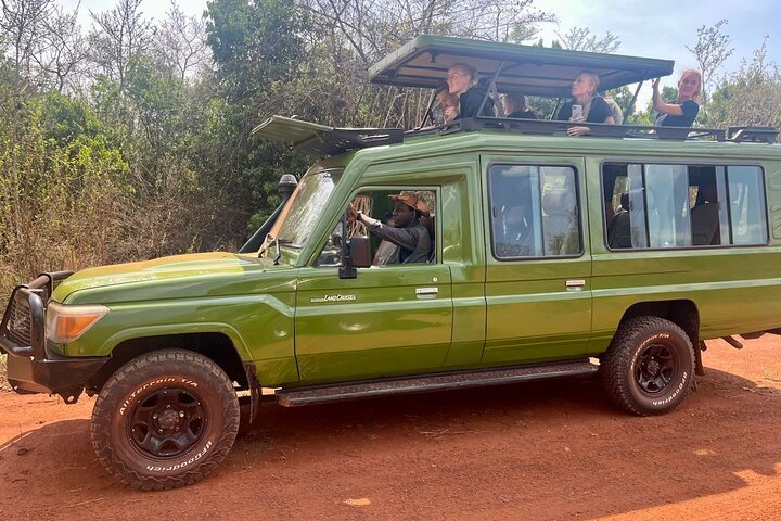 Kigali: Full-Day Akagera Safari + Optional Boat Ride