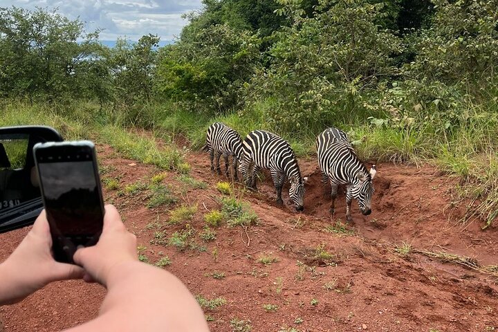 Kigali: Full-Day Akagera Safari + Optional Boat Ride