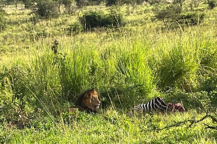 Kigali: Full-Day Akagera Safari + Optional Boat Ride