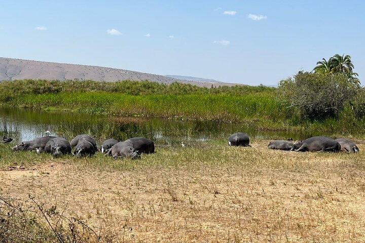 Kigali: Full-Day Akagera Safari + Optional Boat Ride