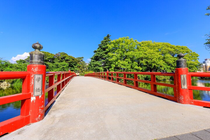 Odawara slott och stad guidad upptäcktsresa