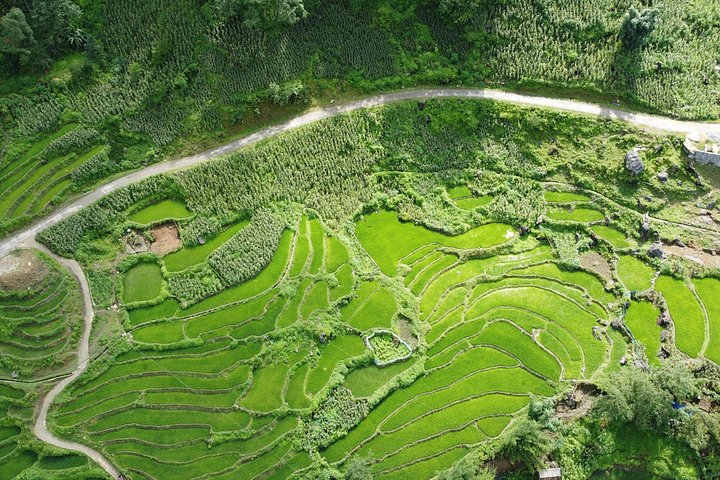 Sapa Full-Day Trekking Avventura attraverso i villaggi locali