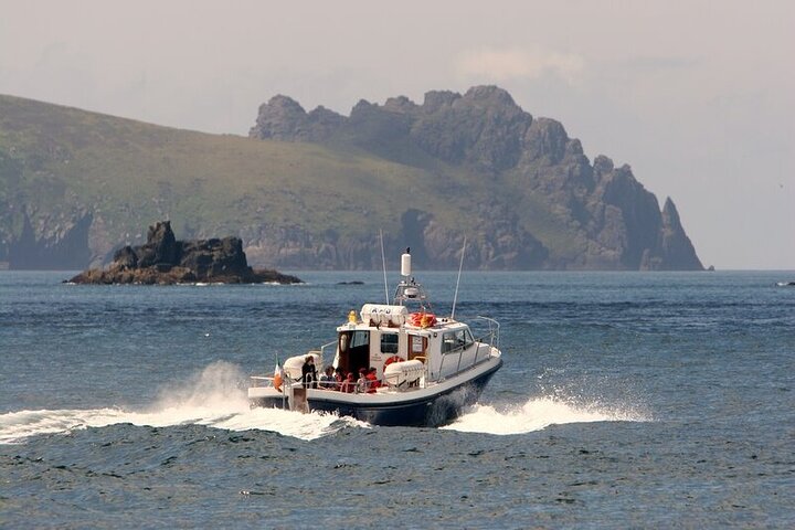 Observação de golfinhos e baleias (4 horas) + Desembarque na Ilha Blasket (3 horas)