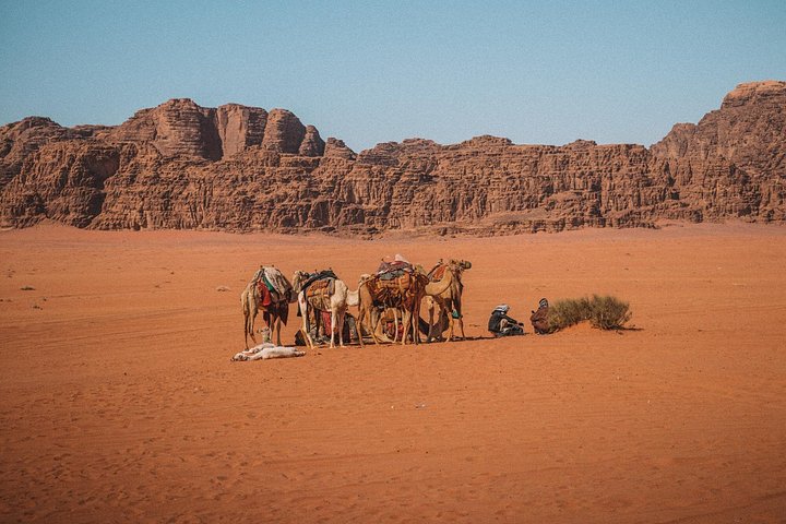 3-Day Petra and Wadi Rum Tour from Jerusalem