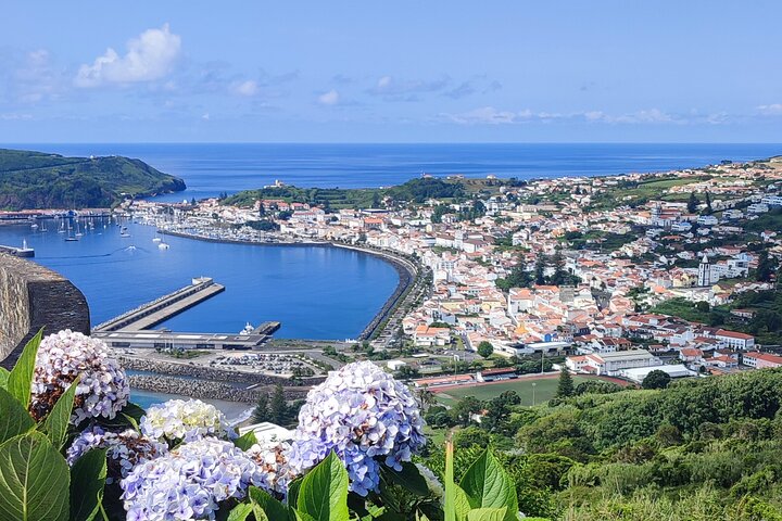 Horta, Faial: 1-dagstur med Capelinhos, Caldeira och lokal guide