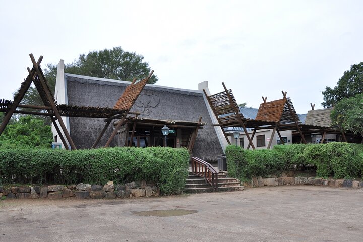 Addo Elephant Park All-Inclusive Day Safari fra Port Elizabeth