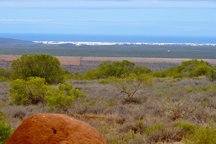 Addo Elephant Park All-Inclusive Day Safari fra Port Elizabeth