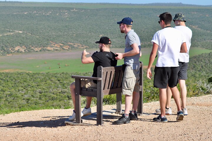 Addo Elephant Park All-Inclusive Day Safari fra Port Elizabeth