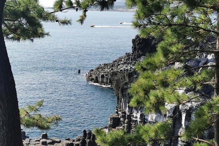 Jeju Island English Private & Flexible Tour n'importe quel numéro n'importe où