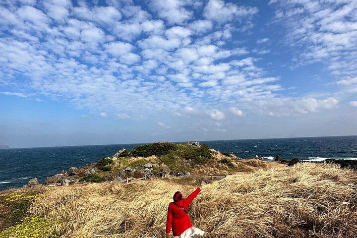 Jeju Island English Private & Flexible Tour n'importe quel numéro n'importe où