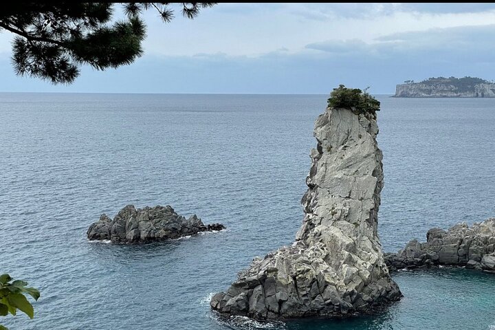 Jeju Island English Private & Flexible Tour n'importe quel numéro n'importe où