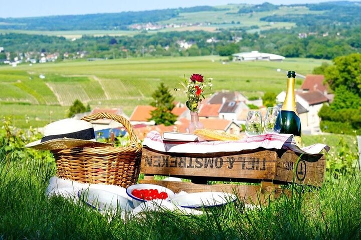 Découvrez Les Caves au Coeur de la Campagne en Champagne