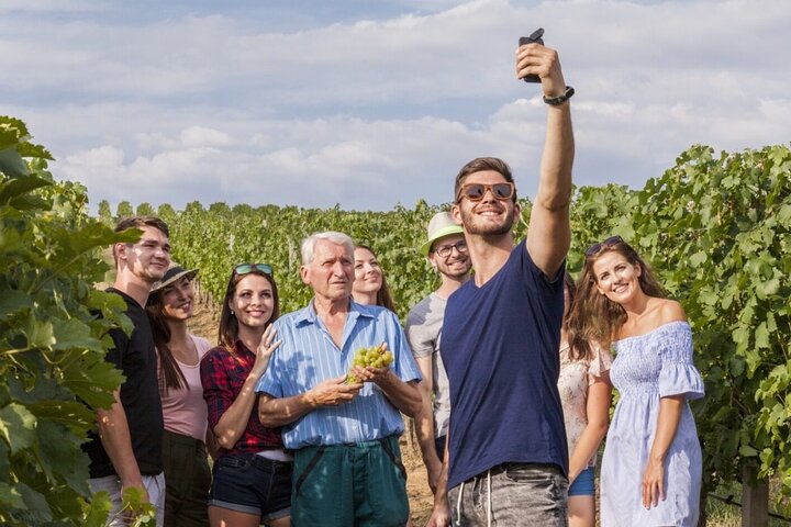 Découvrez Les Caves au Coeur de la Campagne en Champagne