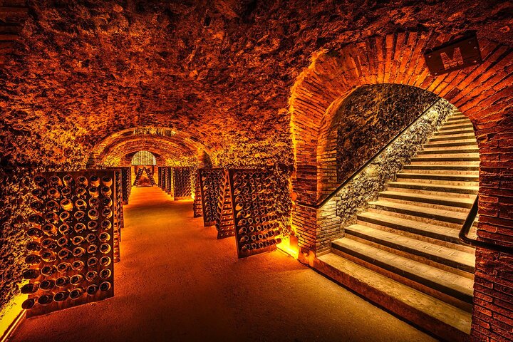 Découvrez Les Caves au Coeur de la Campagne en Champagne