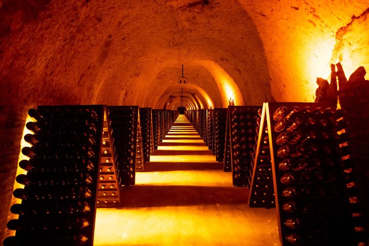 Découvrez Les Caves au Coeur de la Campagne en Champagne