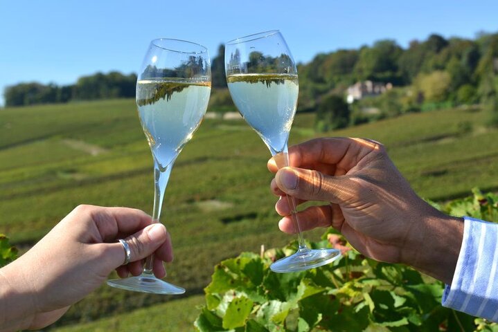 Découvrez Les Caves au Coeur de la Campagne en Champagne