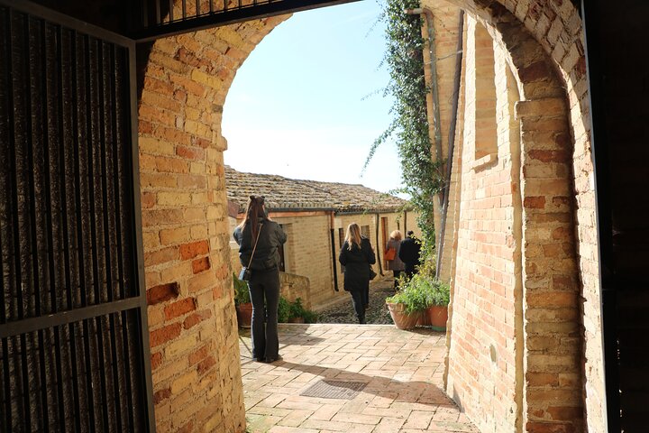 2 timers privat guidet vandretur i Acquaviva Picena Marche