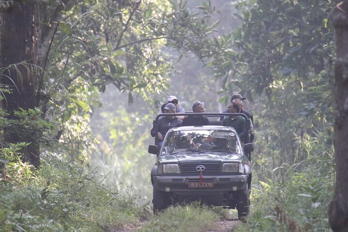 Jungle Towernight Stay: tour di 4 giorni nel Parco nazionale di Chitwan