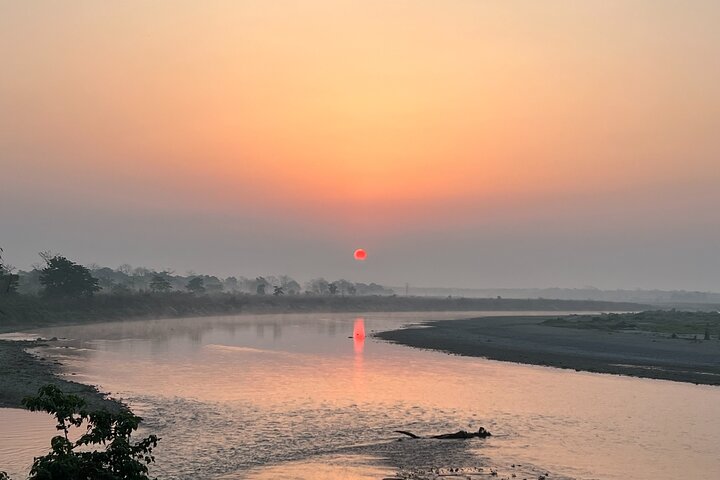 Jungle Towernight Stay: tour di 4 giorni nel Parco nazionale di Chitwan